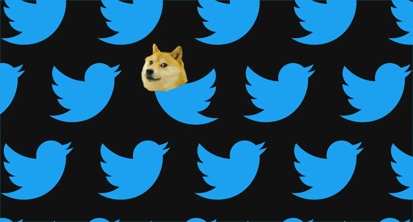 Cachorro no Twitter