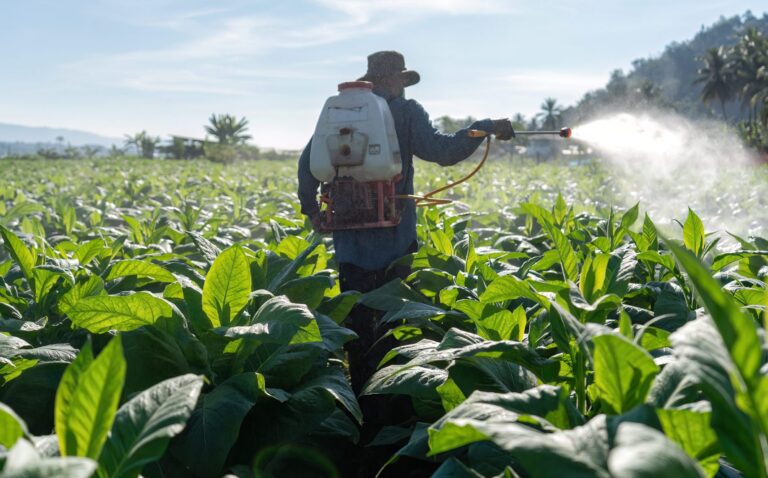 IA entra no campo e acelera combate a pragas que afetam a produtividade no plantio 11 farmer carry spraying engine on back and spray pes 2024 10 14 20 28 16 utc scaled e1738093478544