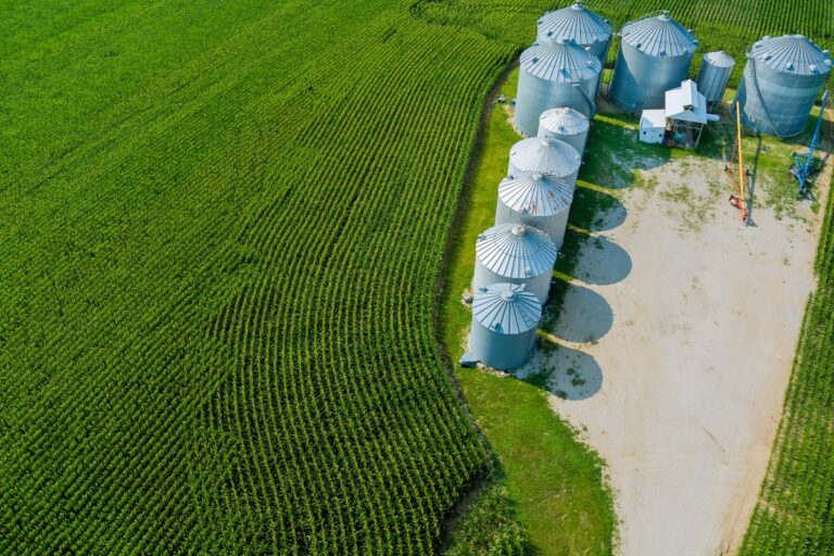 Consumo de milho para etanol no Brasil pode mais que dobrar até 2032, diz Abramilho 36 agricultural products storage with agro elevator o 2025 03 27 06 03 56 utc scaled