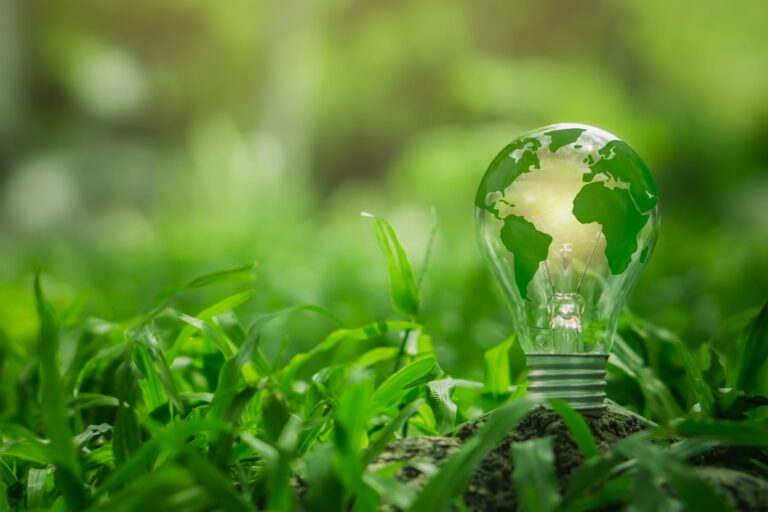 Feira da Indústria e Energia da Amazônia acontece nos dias 28 e 29; confira a programação 12 light bulb with green world map on natural backgou 2024 11 28 12 05 20 utc scaled