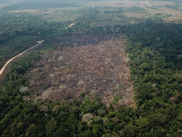 Ferramenta de IA pode prever que áreas têm maior risco de desmatamento na Amazônia 11 Desmatamento foto Op Verde Brasil17