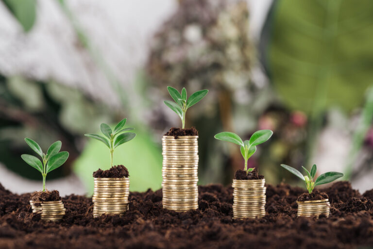 Amazoncure, Cellva e Buriti Aromas ampliam ecossistema do Espaço CBA de Inovação 15 arranged golden coins with green leaves and soil 2024 11 19 13 04 38 utc scaled