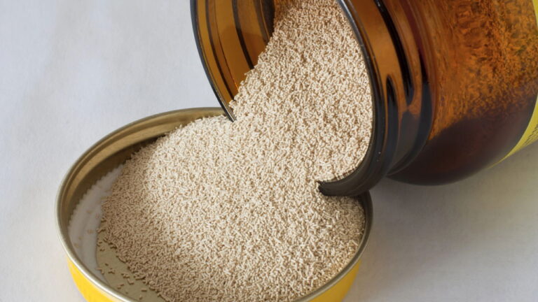 3 invenções acidentais que mudaram para sempre a forma de cozinhar 9 fermento 1757176974211