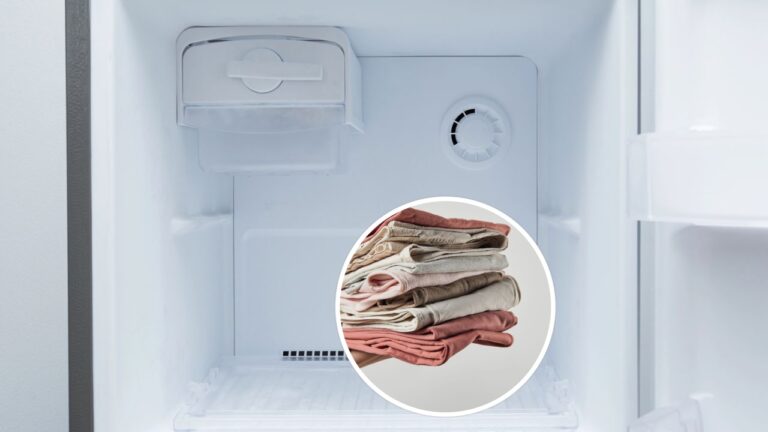O melhor truque com freezer para conservar roupas e tecidos 67 mosaico 1757508703364