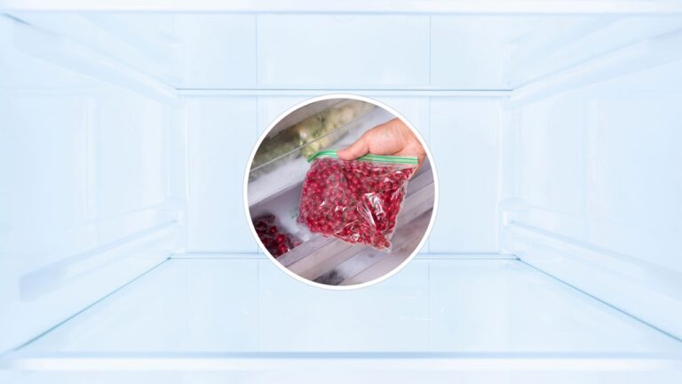A melhor forma de conservar temperos por meses no freezer 54 mosaico 1758302074635