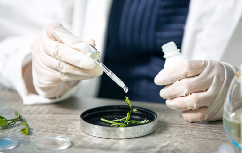 Amazonas levará Plano de Bioeconomia à COP30 com foco no patrimônio genético 6 bioeconomia scaled