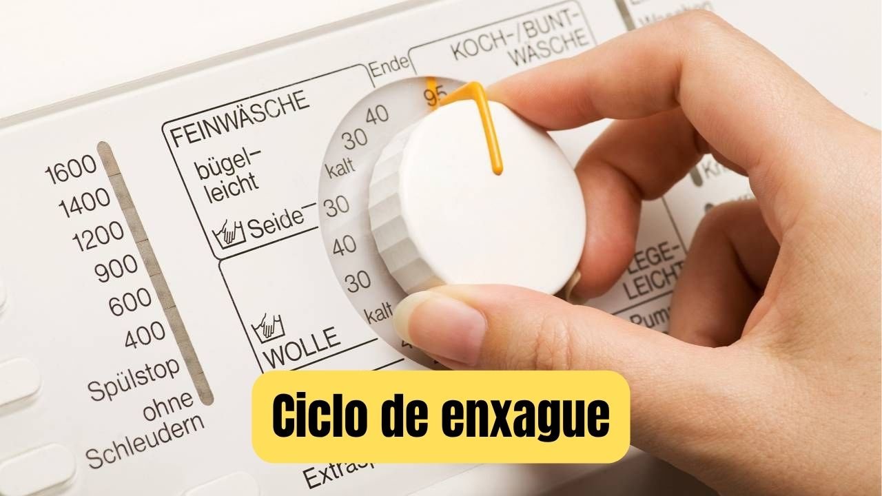 ciclo de