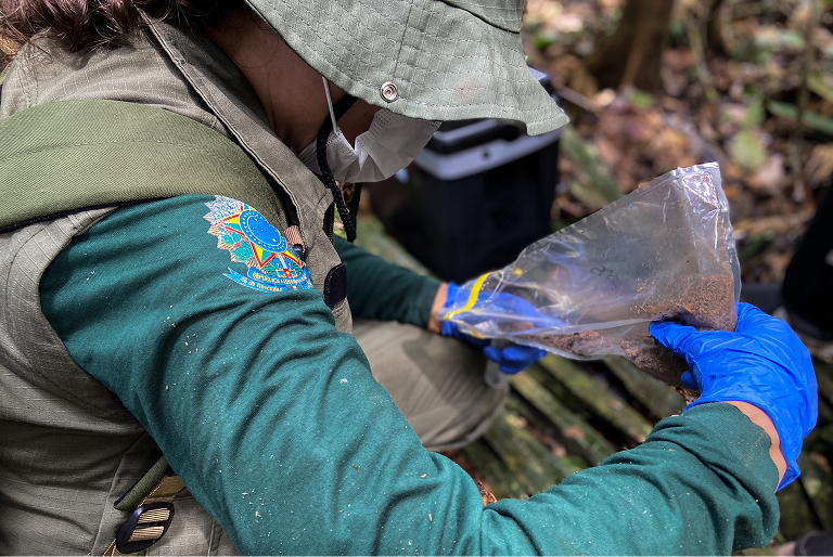 Ciência brasileira avança na genômica com consórcio que mapeia DNA da biodiversidade 2 genomica dna biodiversidade