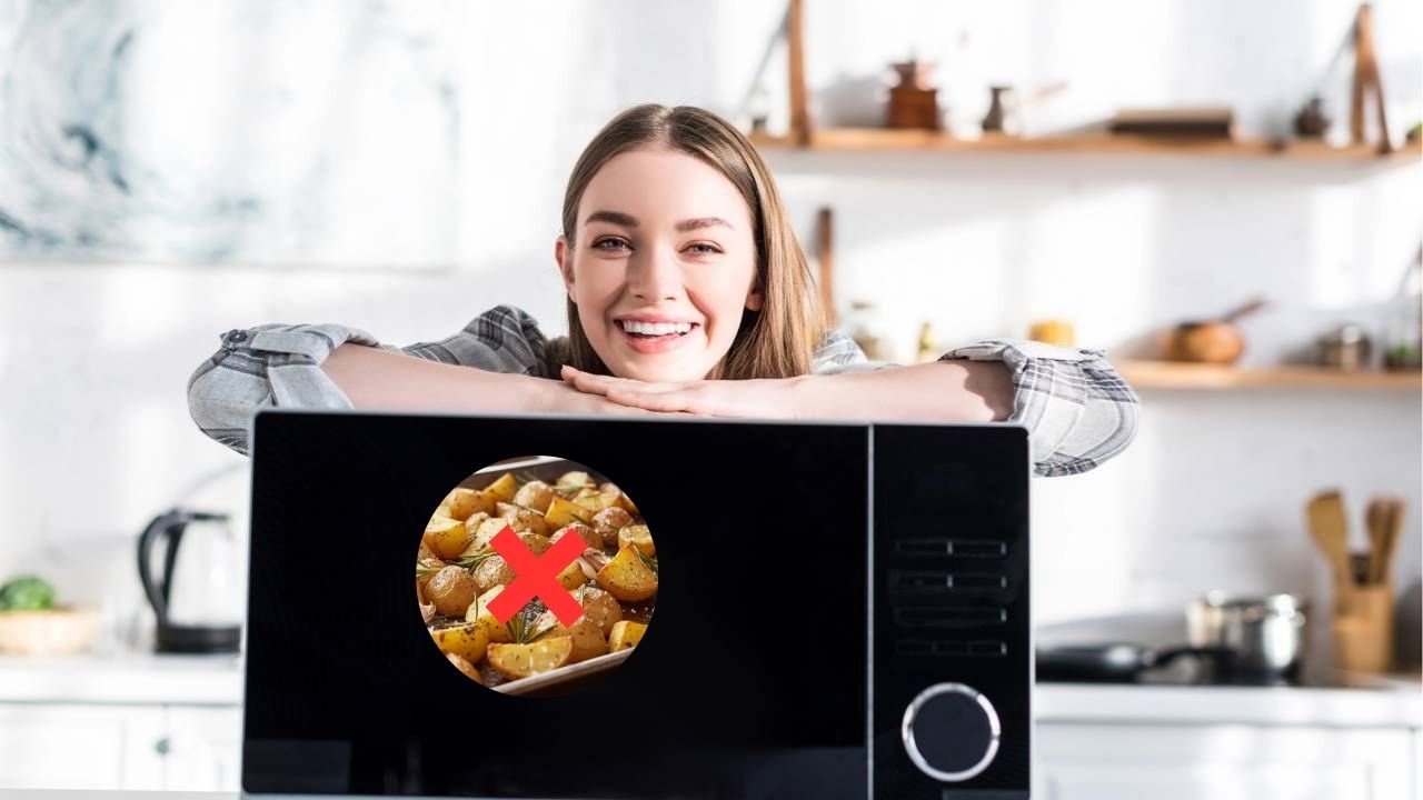 Este é o motivo pelo qual o micro-ondas não deixa os alimentos dourados 8 micro ondas 3