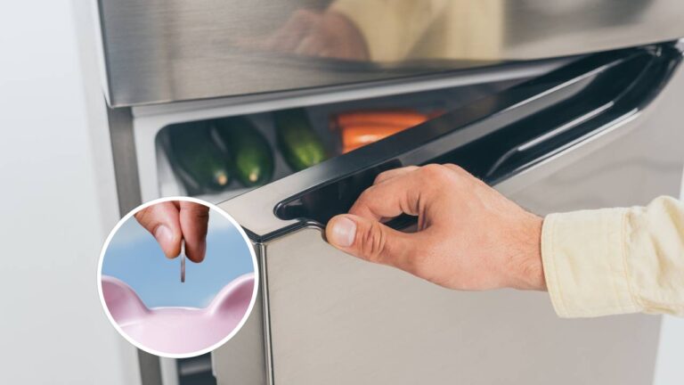Deixe a regulagem da sua geladeira desse jeito e reduza o consumo de energia 44 mosaico 1759840498262