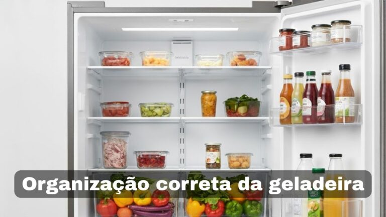 Dicas de organização na geladeira que aumentam a vida útil dos alimentos 64 organizacao da geladeira