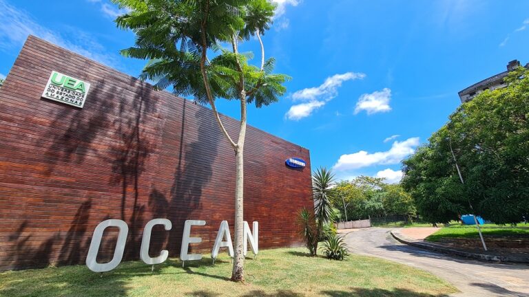 Samsung Ocean tem agenda gratuita de cursos de Metaverso, IA e Programação 35 samsung ocean manaus