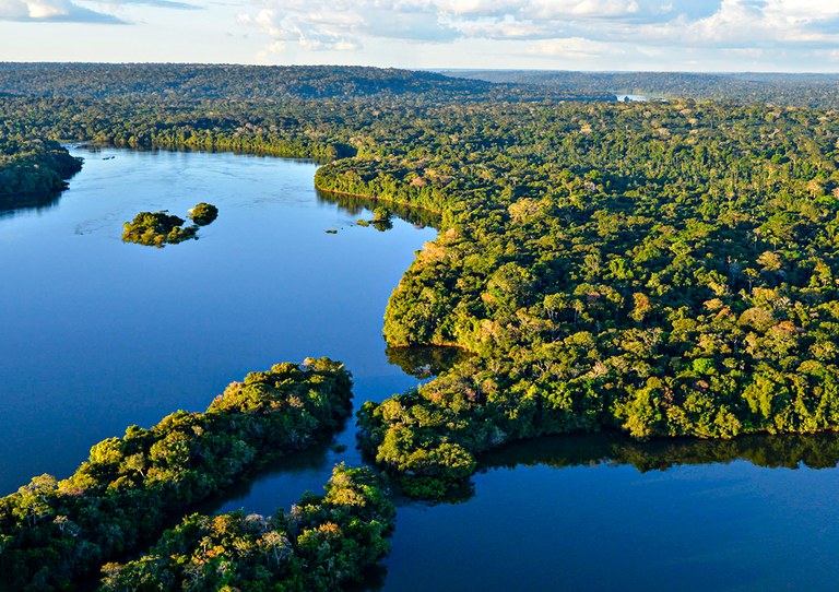 Amazônia é registrada como 'artista' e pode arrecadar royalties com sons da floresta 12 16a3da3d d97d 40c3 bb64 10a331e9daa9