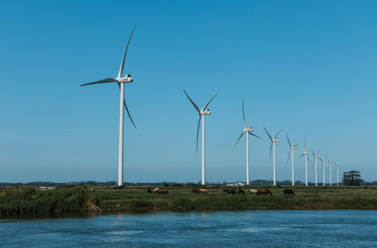 Parque eólico da Honda completa 11 anos e mantém produção com energia 100% renovável 1 honda parque eolico2