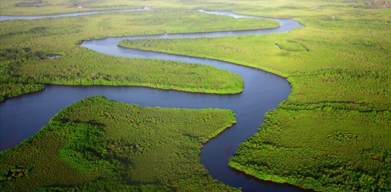 photo 1448099940878 e0c48ea3a165