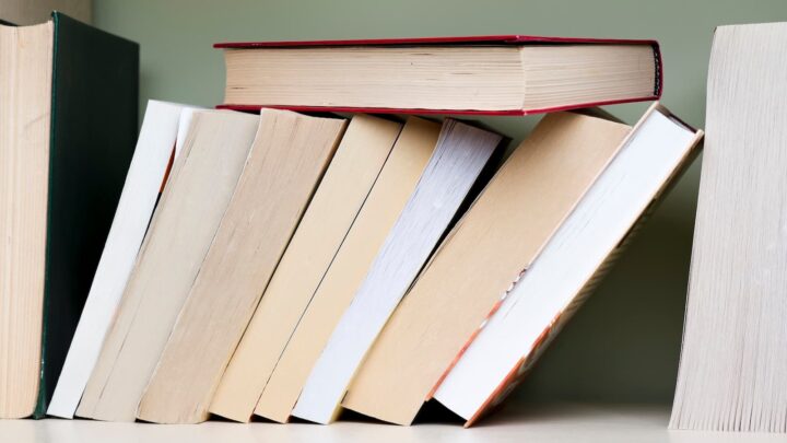 Empresas de IA estarão a comprar e destruir milhões de livros para treinar modelos 3 Livros
