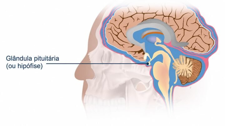 Histórico! Cirurgia ao cérebro com ajuda de IA salvou a visão de homem de 48 anos 3 1787991119 889 Historico Cirurgia ao cerebro com ajuda de IA salvou a