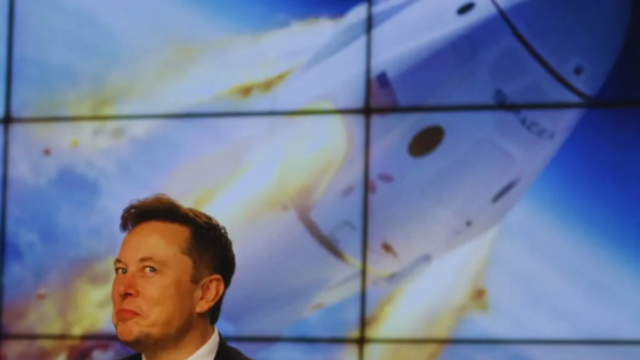 Elon Musk dá um conselho aos jovens para a era da IA: estudar de tudo um pouco