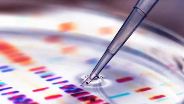 A IA encontrou uma maneira de procurar alterações importantes no meio dos bilhões de letras do DNA 3 A IA encontrou uma maneira de procurar alterações importantes no meio dos bilhões de letras do DNA