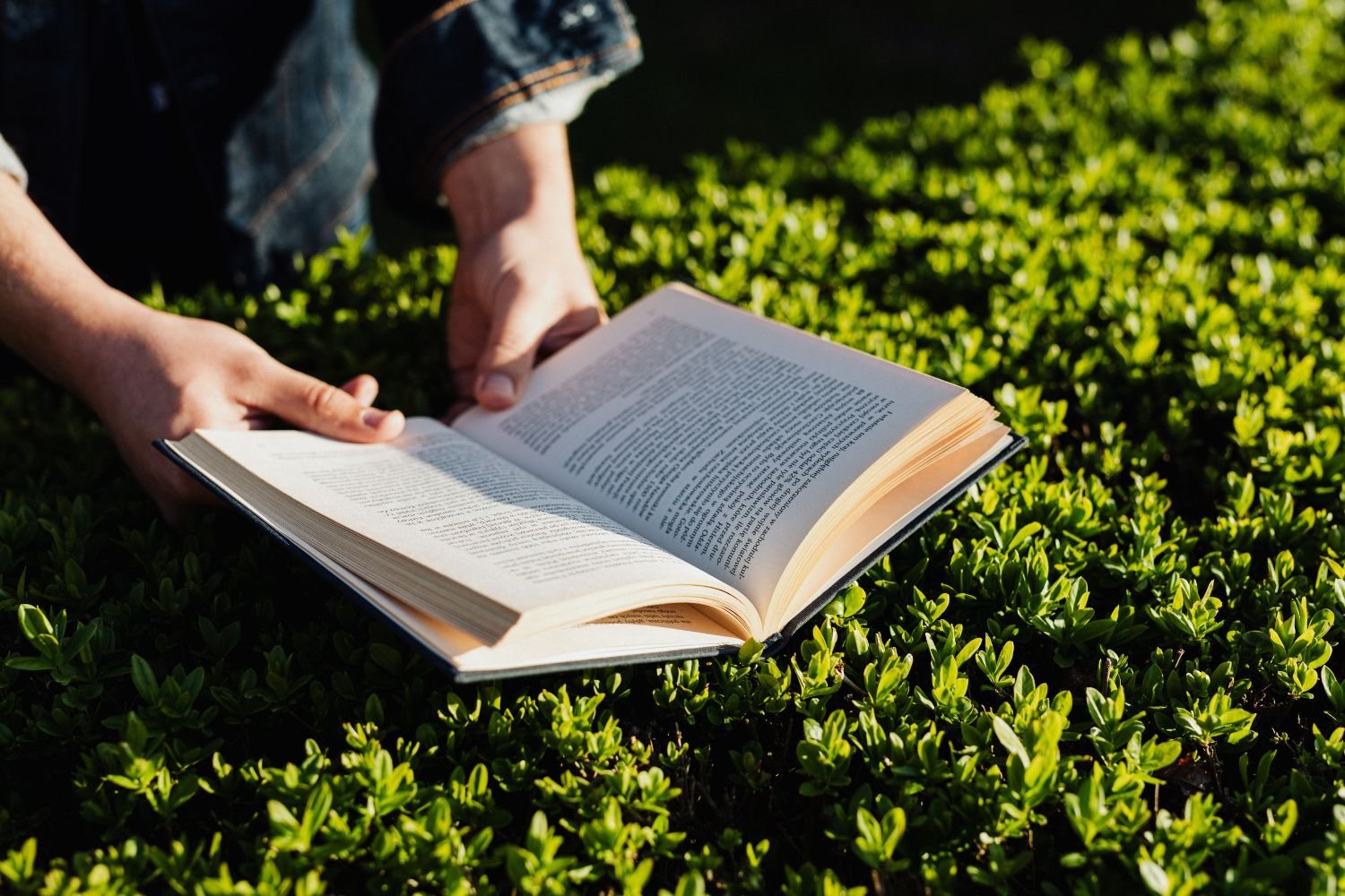 Jovens estão lendo pior — e especialistas temem efeitos sobre ansiedade e solidão 4 Cientistas explicam como a leitura pode proteger o cérebro contra o declínio cognitivo