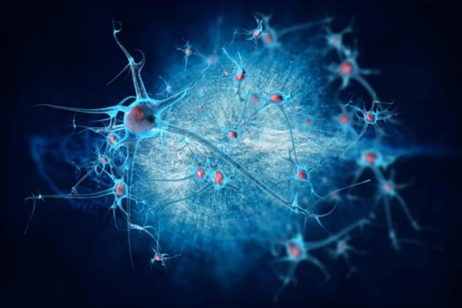 Seu cérebro e a IA compartilham uma pista sobre como entender palavras 3 Neuronais Cerebro