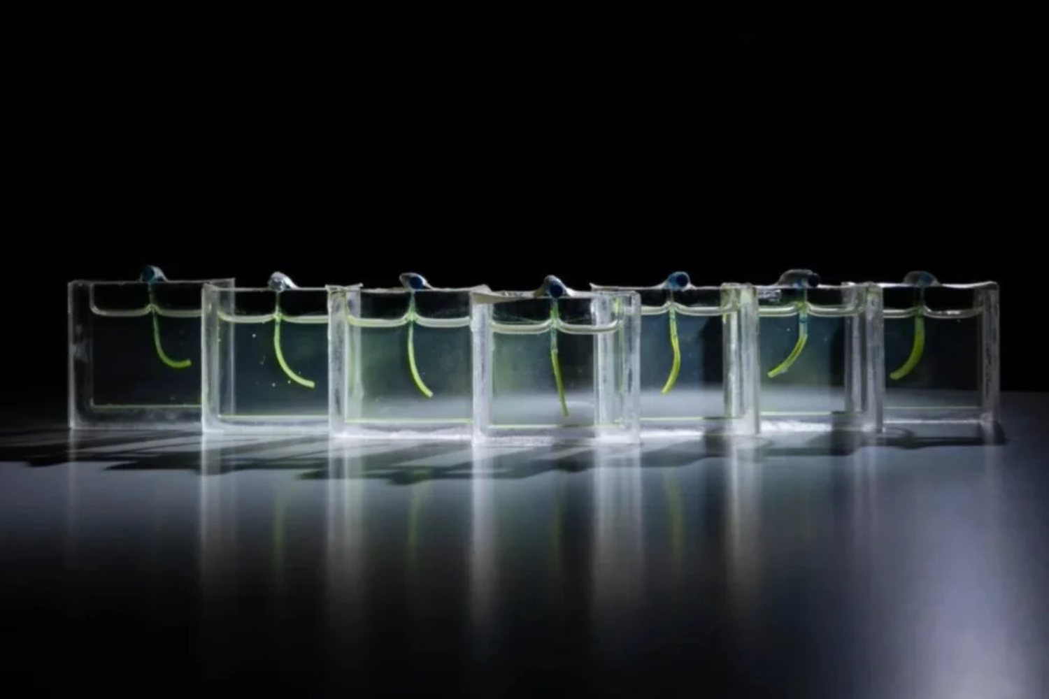 Robôs do futuro podem dispensar motores elétricos graças a uma descoberta inspirada na natureza 2 Iluminação1