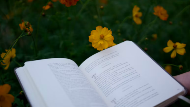 Livros escritos por humanos começam a ganhar selo de “literatura orgânica”